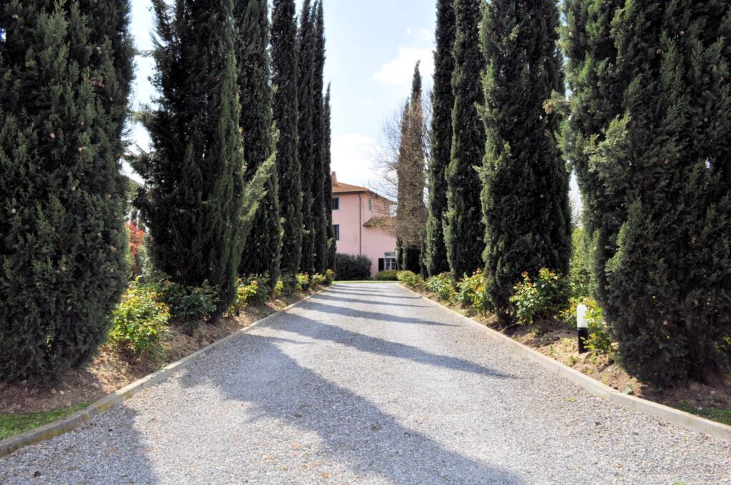 1587-Villa storica di grandi dimensioni con parco e piscina-Pontedera-12 Agenzia Immobiliare ASIP