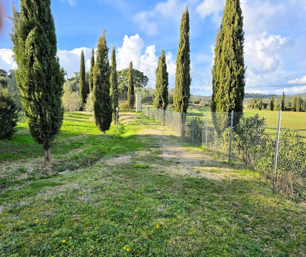 1591-Casale con ampio giardino e vista panoramica-Roccastrada-14 Agenzia Immobiliare ASIP