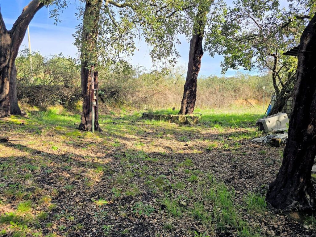 1604-Annesso agricolo in posizione collinare-Roccastrada-2 Agenzia Immobiliare ASIP