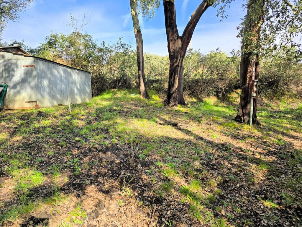 1604-Annesso agricolo in posizione collinare-Roccastrada-4 Agenzia Immobiliare ASIP