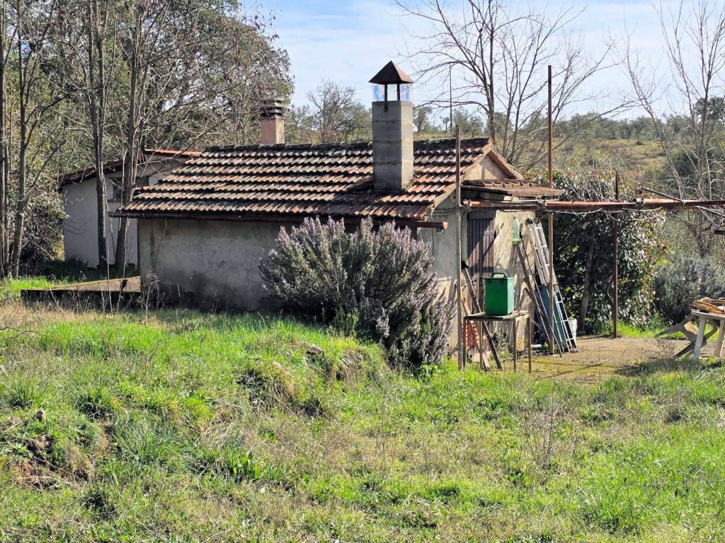 1604-Annesso agricolo in posizione collinare-Roccastrada-3 Agenzia Immobiliare ASIP