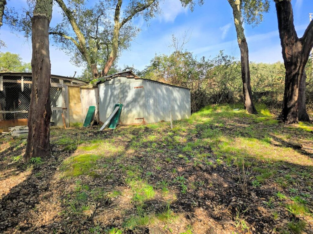 1604-Annesso agricolo in posizione collinare-Roccastrada-5 Agenzia Immobiliare ASIP