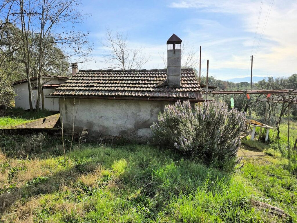 1604-Annesso agricolo in posizione collinare-Roccastrada-9 Agenzia Immobiliare ASIP