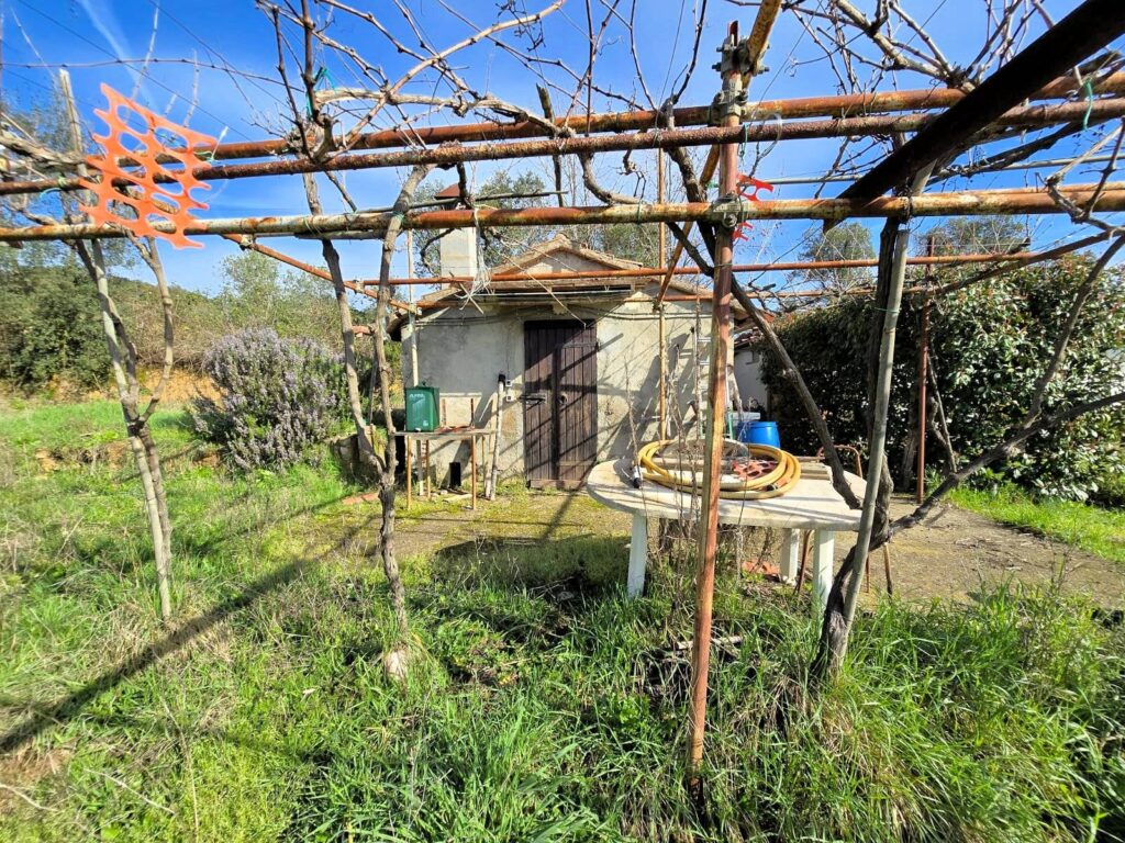 1604-Annesso agricolo in posizione collinare-Roccastrada-11 Agenzia Immobiliare ASIP