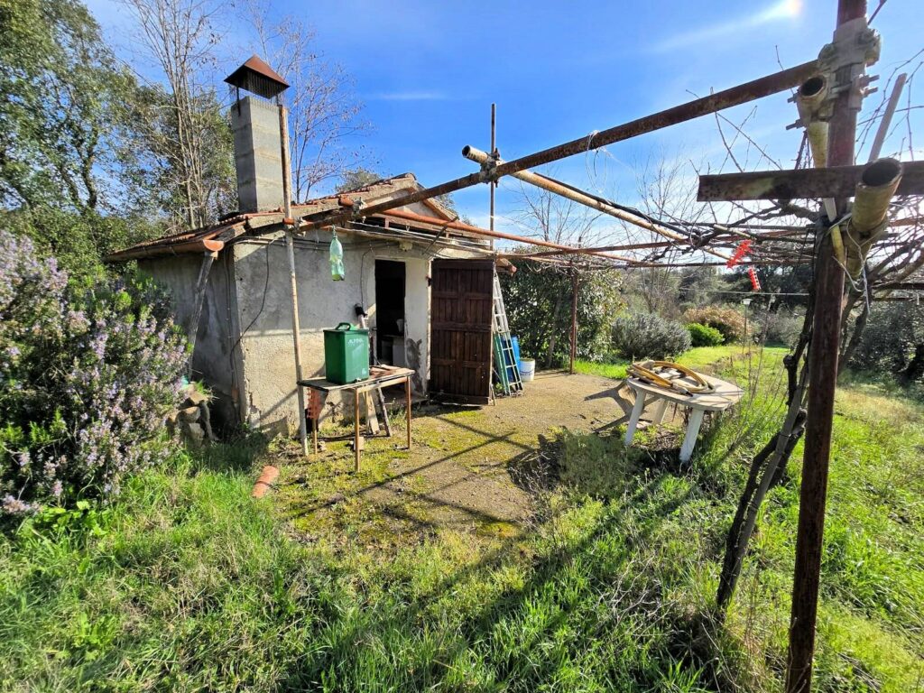 1604-Annesso agricolo in posizione collinare-Roccastrada-13 Agenzia Immobiliare ASIP