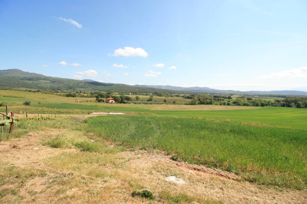 1619-Podere panoramico in Maremma-Roccastrada-10 Agenzia Immobiliare ASIP