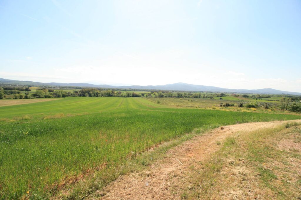 1619-Podere panoramico in Maremma-Roccastrada-13 Agenzia Immobiliare ASIP