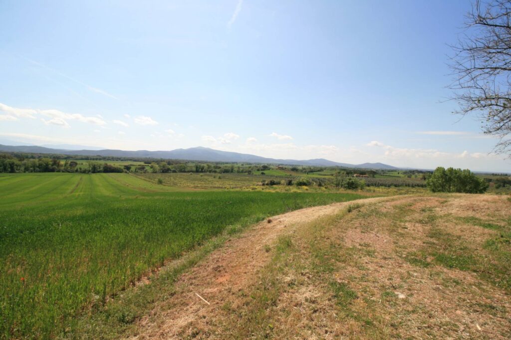 1619-Podere panoramico in Maremma-Roccastrada-15 Agenzia Immobiliare ASIP