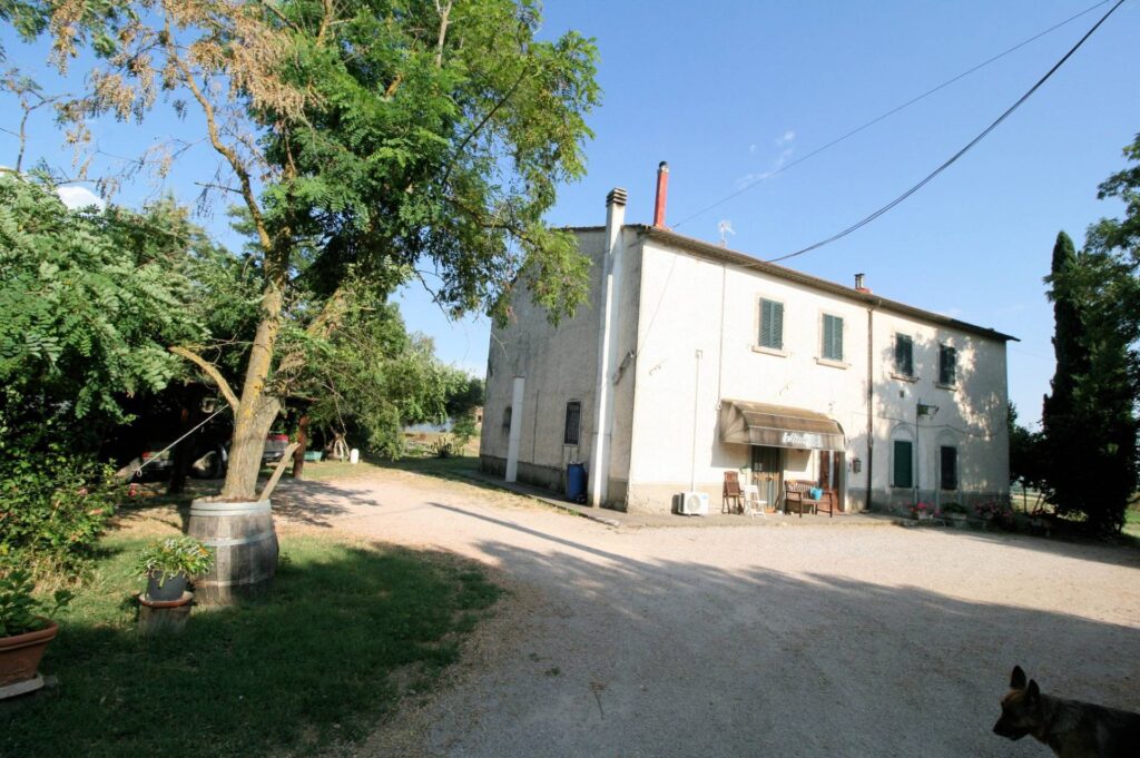 1619-Podere panoramico in Maremma-Roccastrada-1 Agenzia Immobiliare ASIP