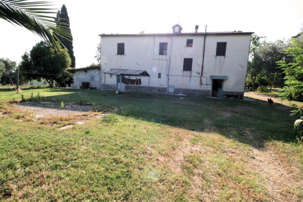 1619-Podere panoramico in Maremma-Roccastrada-7 Agenzia Immobiliare ASIP