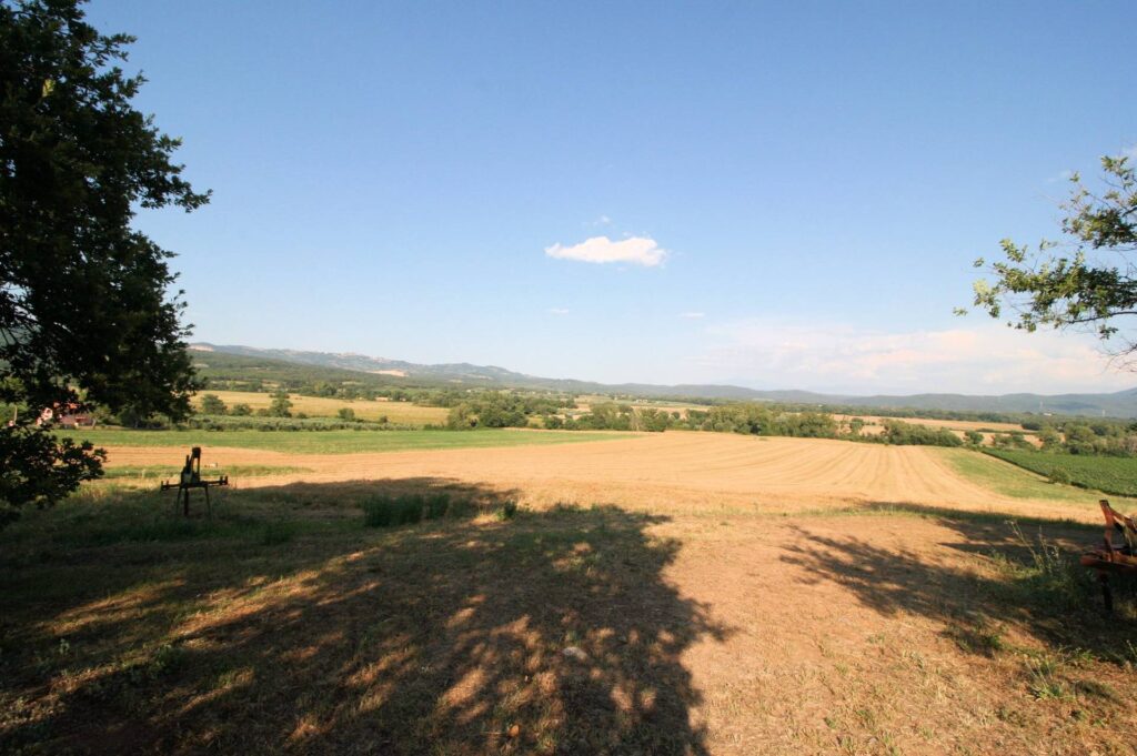 1619-Podere panoramico in Maremma-Roccastrada-16 Agenzia Immobiliare ASIP