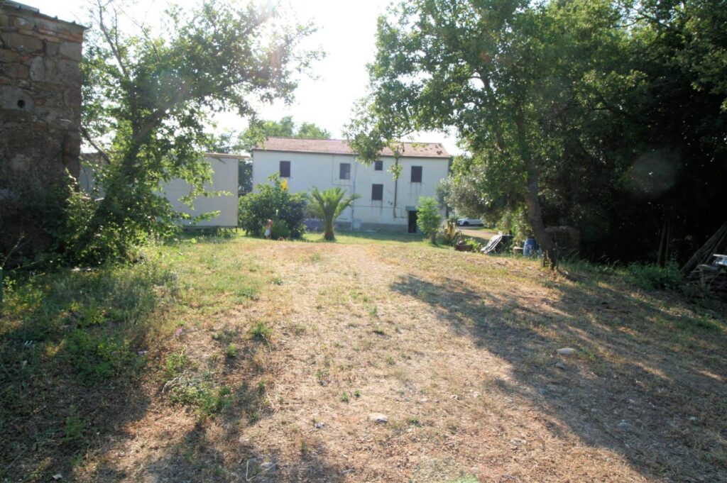 1619-Podere panoramico in Maremma-Roccastrada-2 Agenzia Immobiliare ASIP