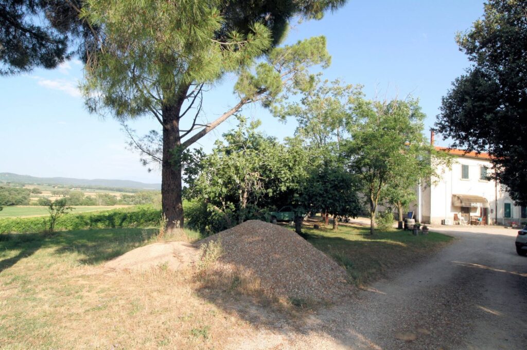 1619-Podere panoramico in Maremma-Roccastrada-11 Agenzia Immobiliare ASIP