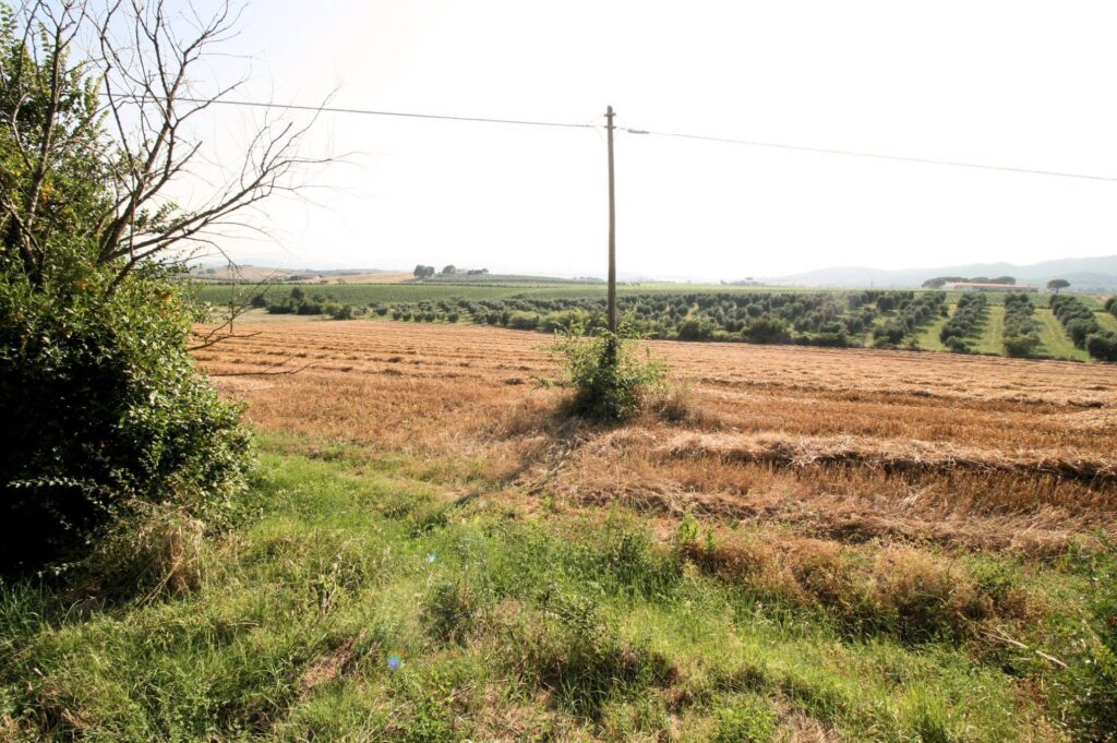 1619-Podere panoramico in Maremma-Roccastrada-19 Agenzia Immobiliare ASIP