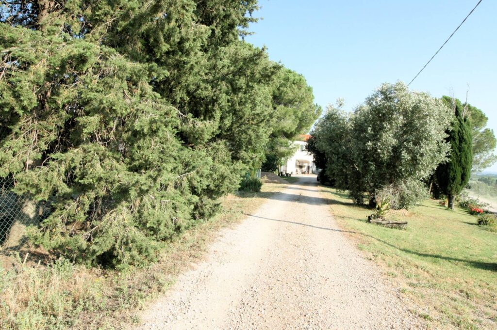 1619-Podere panoramico in Maremma-Roccastrada-8 Agenzia Immobiliare ASIP