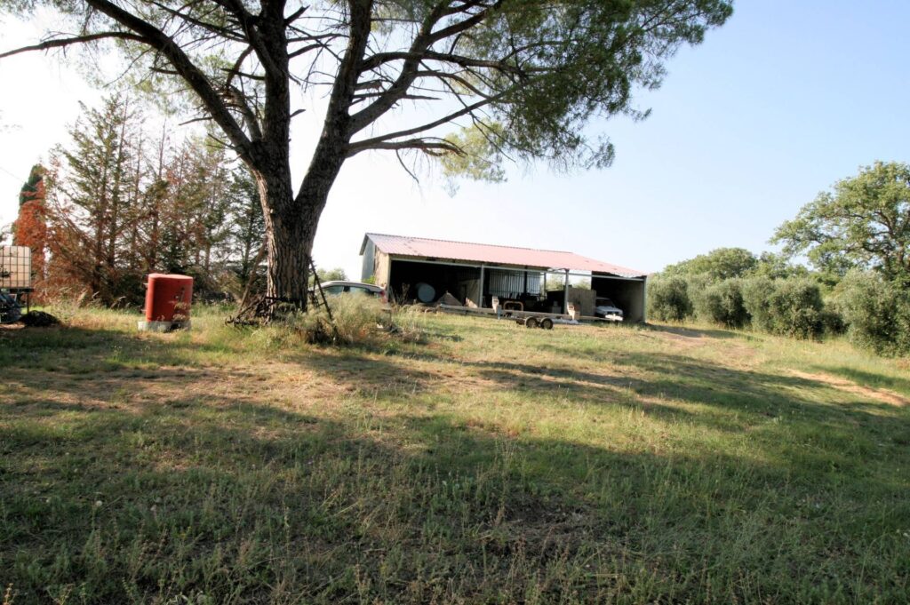 1619-Podere panoramico in Maremma-Roccastrada-14 Agenzia Immobiliare ASIP