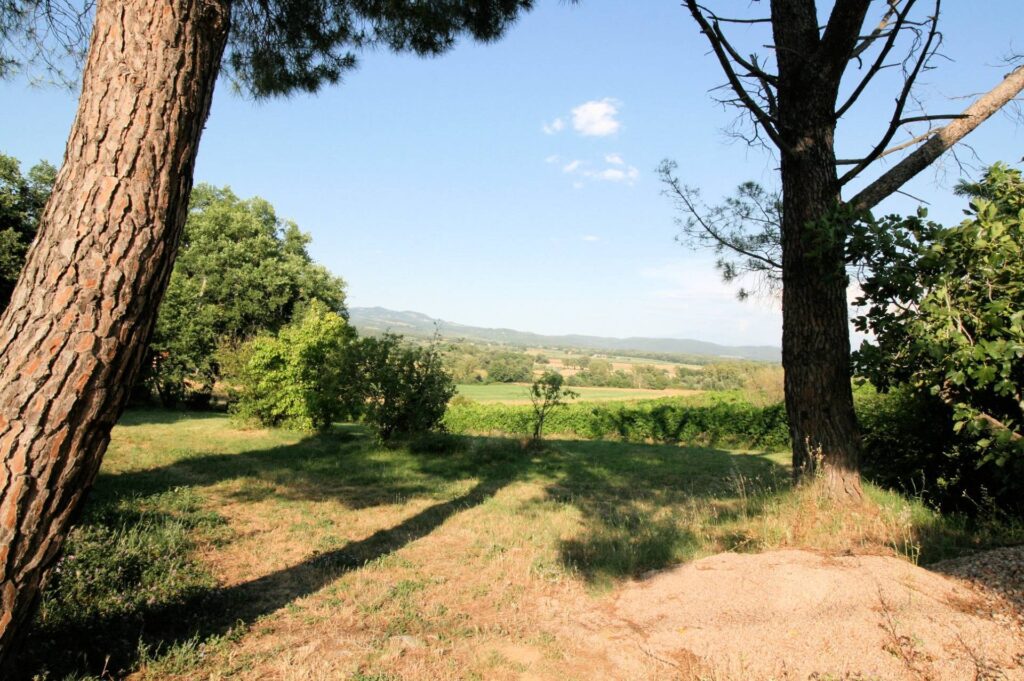 1619-Podere panoramico in Maremma-Roccastrada-18 Agenzia Immobiliare ASIP