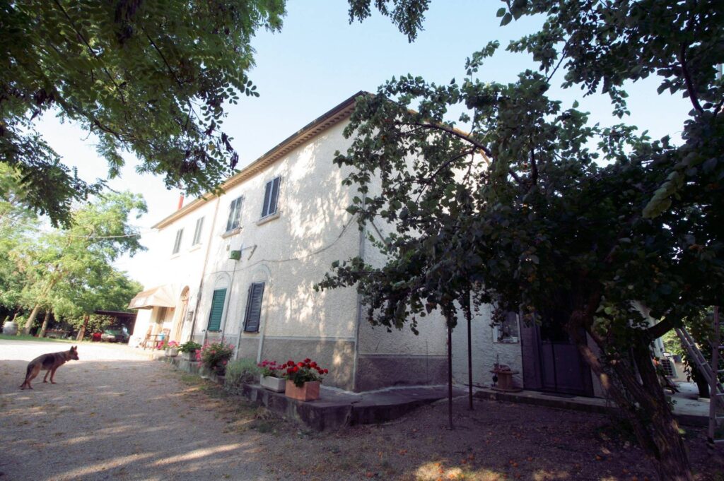 1619-Podere panoramico in Maremma-Roccastrada-5 Agenzia Immobiliare ASIP