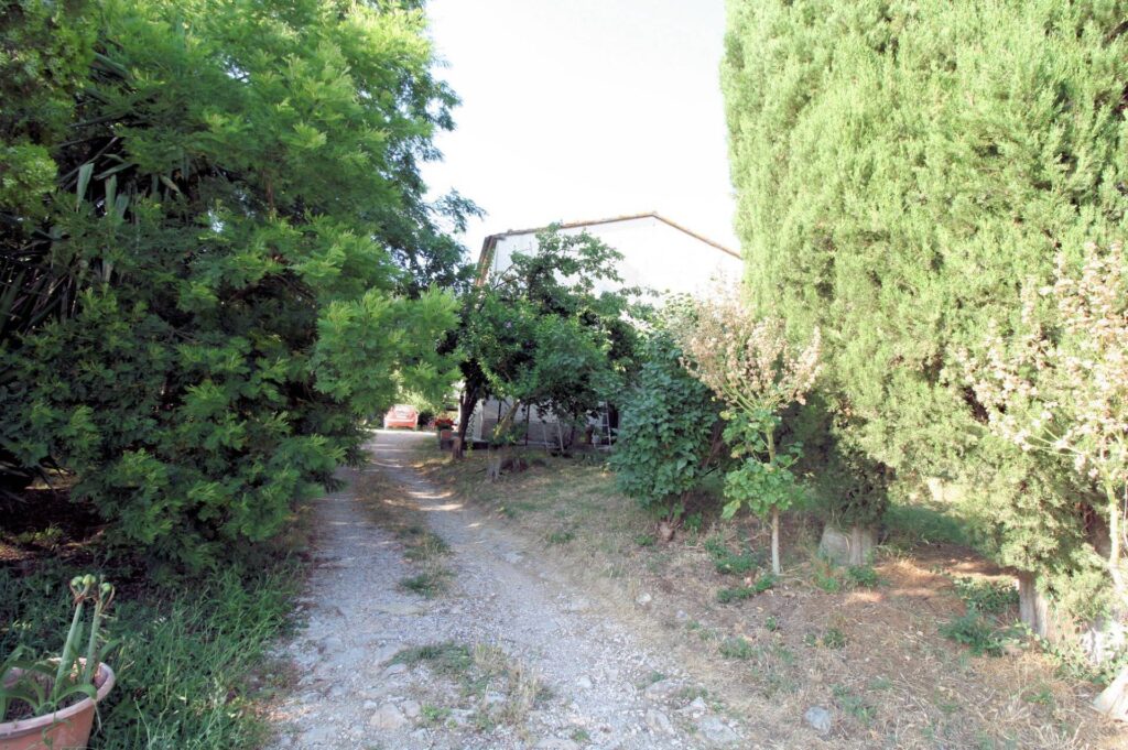 1619-Podere panoramico in Maremma-Roccastrada-12 Agenzia Immobiliare ASIP