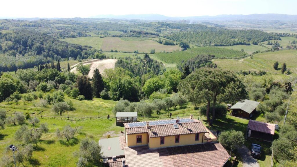 1626-Piccola azienda agricola con casale di campagna-Palaia-1 Agenzia Immobiliare ASIP