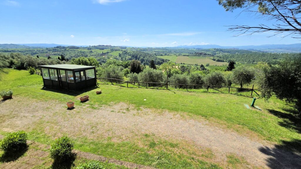 1626-Piccola azienda agricola con casale di campagna-Palaia-8 Agenzia Immobiliare ASIP