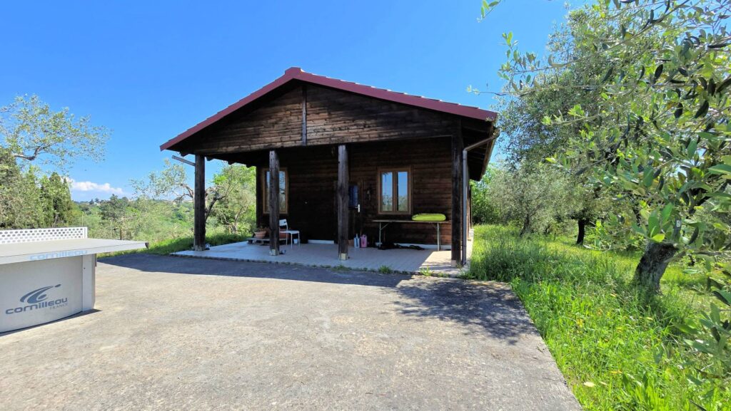 1626-Piccola azienda agricola con casale di campagna-Palaia-10 Agenzia Immobiliare ASIP