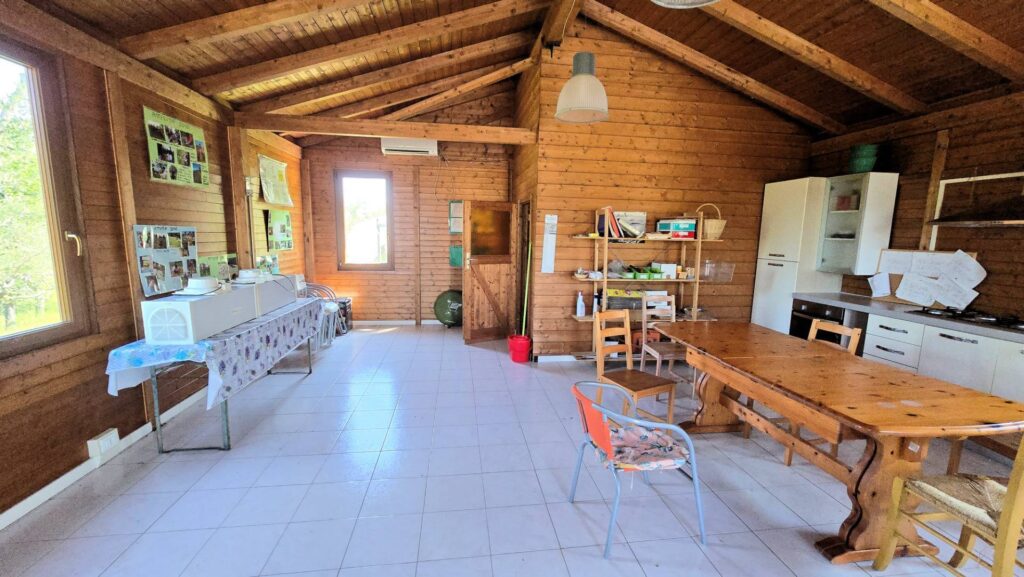 1626-Piccola azienda agricola con casale di campagna-Palaia-21 Agenzia Immobiliare ASIP