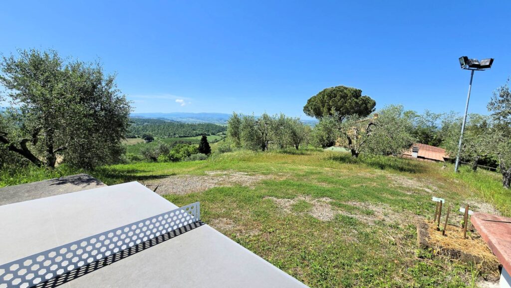 1626-Piccola azienda agricola con casale di campagna-Palaia-9 Agenzia Immobiliare ASIP