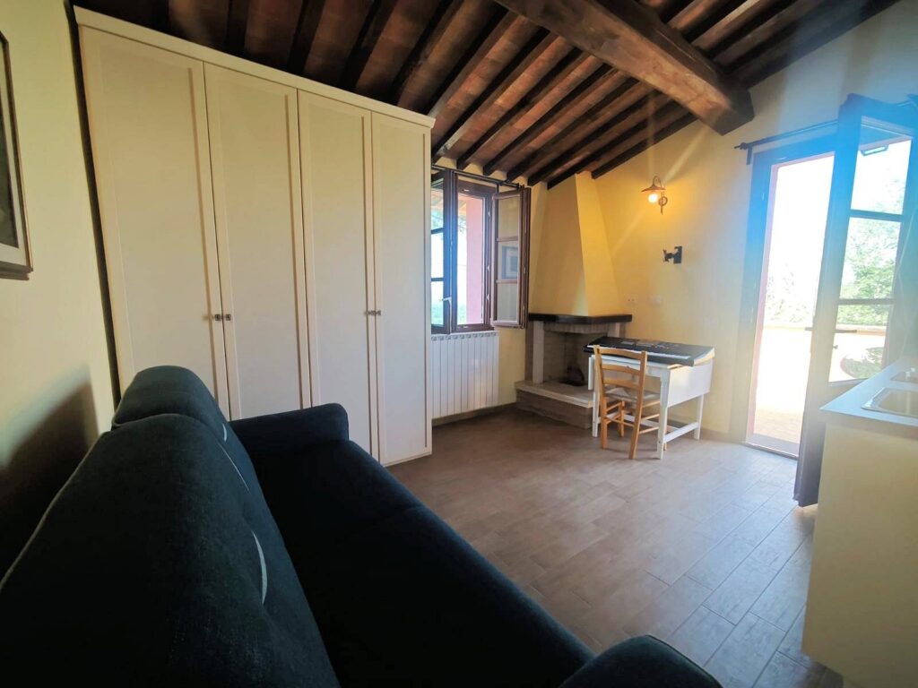 1626-Piccola azienda agricola con casale di campagna-Palaia-20 Agenzia Immobiliare ASIP