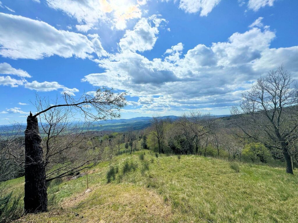 1628-Rustico da ristrutturare con possibilità di ampliamento con vista panoramica fino al mare-Roccastrada-3 Agenzia Immobiliare ASIP