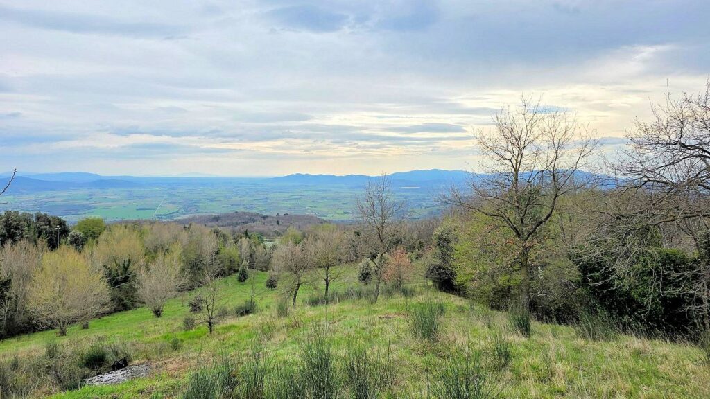 1628-Rustico da ristrutturare con possibilità di ampliamento con vista panoramica fino al mare-Roccastrada-5 Agenzia Immobiliare ASIP