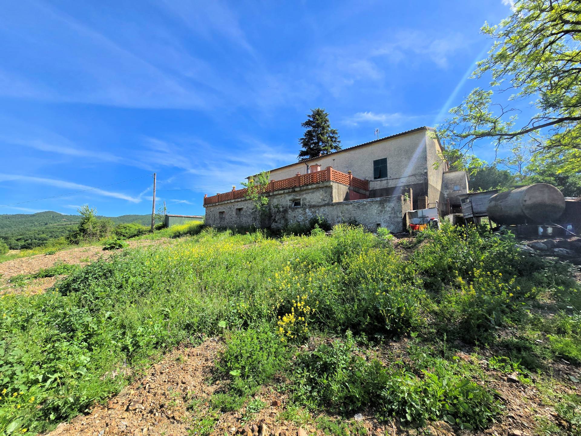 1634-Azienda agricola in posizione collinare e panoramica-Massa Marittima-1 Agenzia Immobiliare ASIP