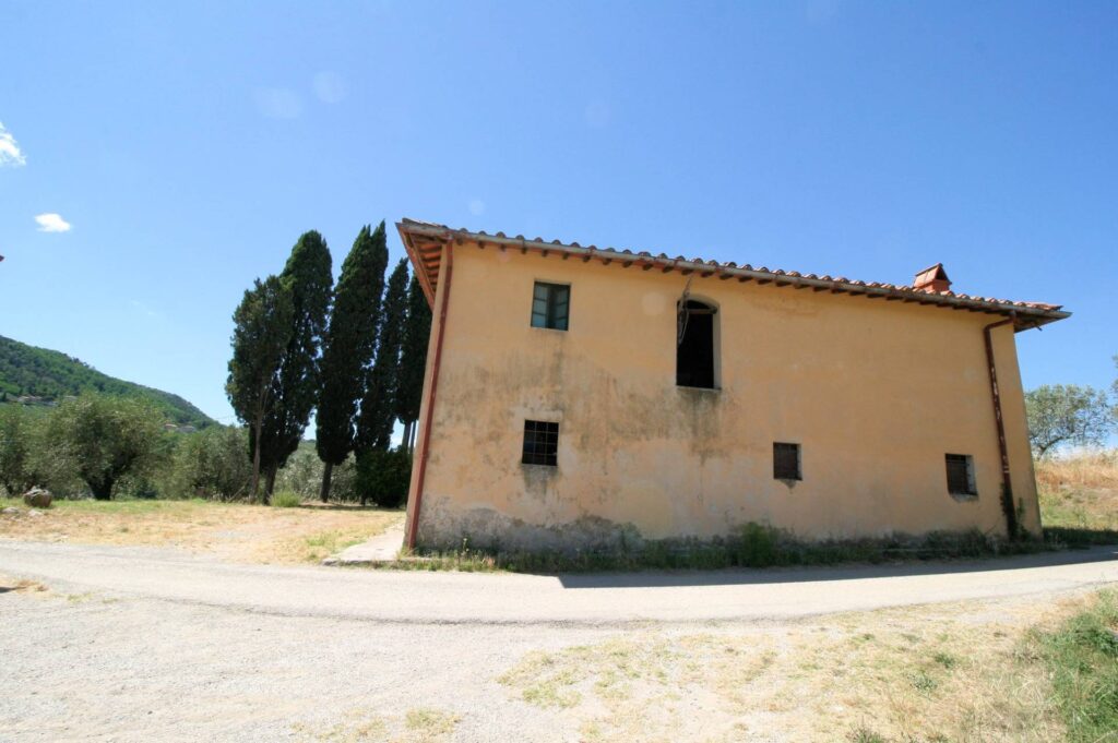 1269-Casa indipendente da ristrutturare con ampio uliveto-Quarrata-2 Agenzia Immobiliare ASIP