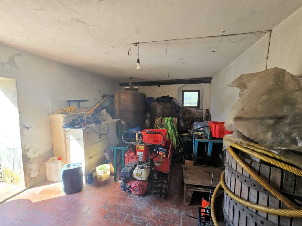 1269-Casa indipendente da ristrutturare con ampio uliveto-Quarrata-8 Agenzia Immobiliare ASIP