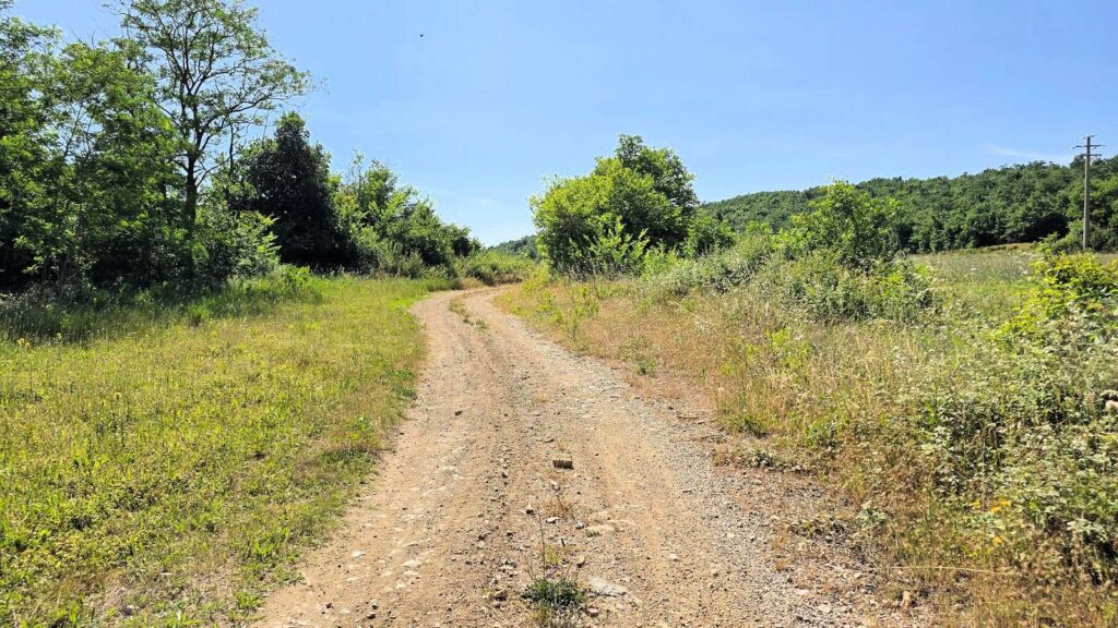 1646-Terreno per azienda agricola in posizione stupenda-Massa Marittima-8 Agenzia Immobiliare ASIP