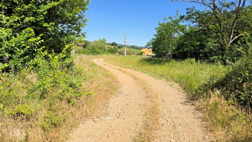 1646-Terreno per azienda agricola in posizione stupenda-Massa Marittima-6 Agenzia Immobiliare ASIP