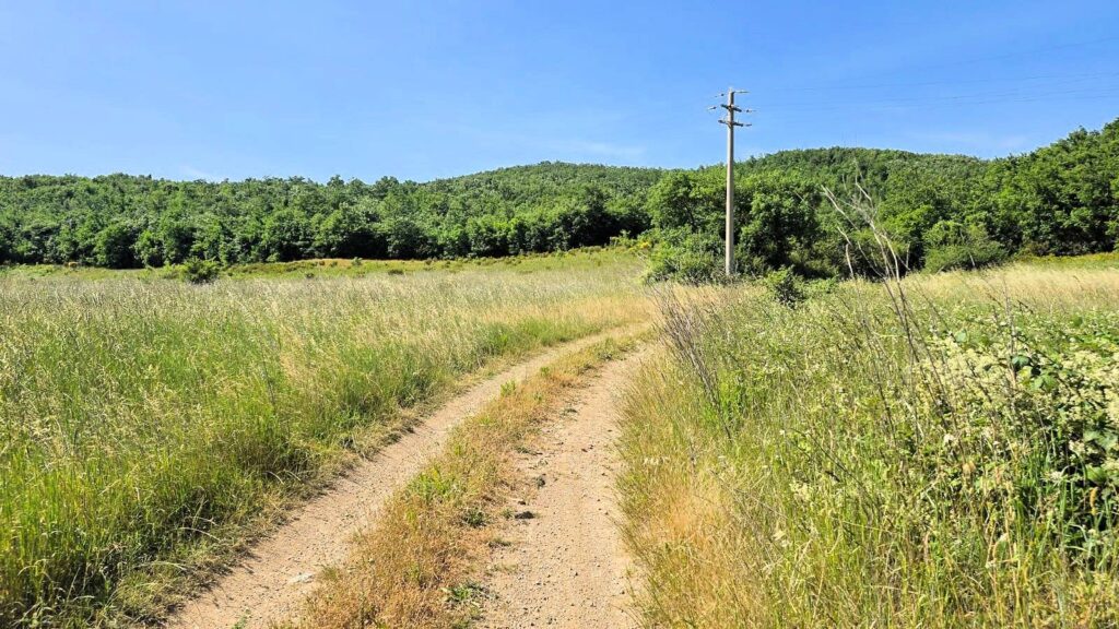 1646-Terreno per azienda agricola in posizione stupenda-Massa Marittima-10 Agenzia Immobiliare ASIP