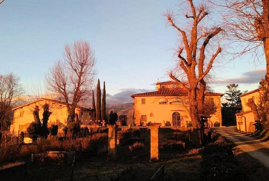 1648-Agriturismo di ampia superficie con vigneto piscina in posizione panoramica-Loro Ciuffenna-5 Agenzia Immobiliare ASIP