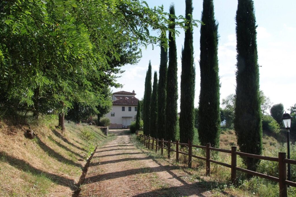 1648-Agriturismo di ampia superficie con vigneto piscina in posizione panoramica-Loro Ciuffenna-20 Agenzia Immobiliare ASIP
