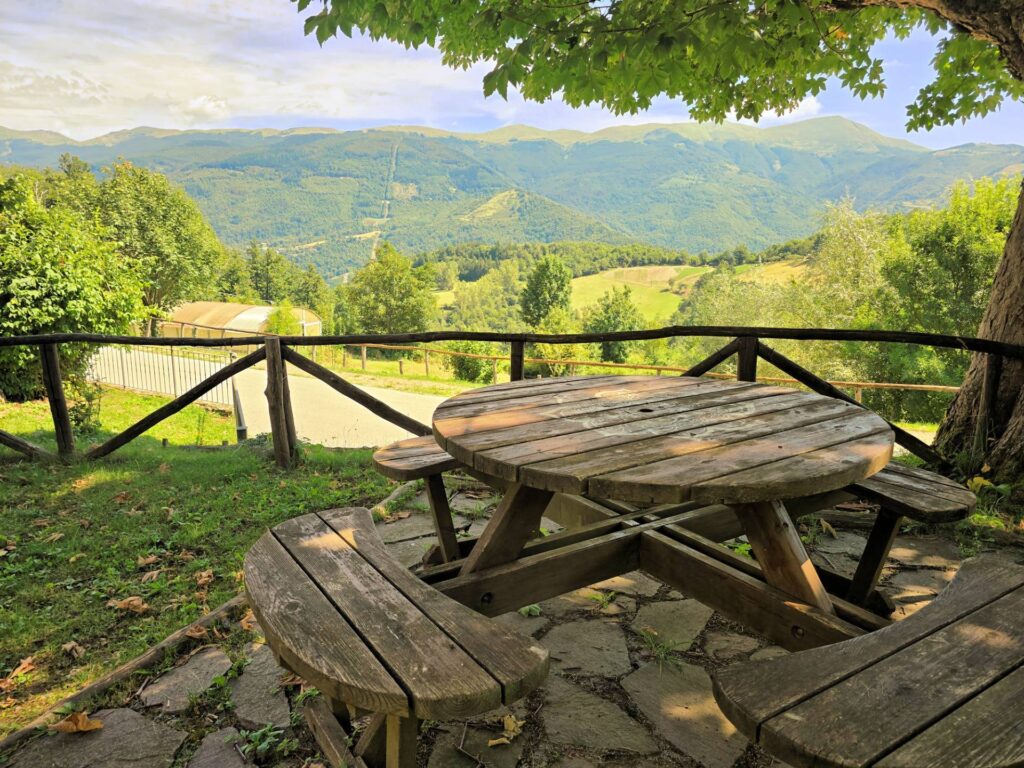 1265-BEL COMPLESSO AGRITURISTICO SITO IN UN'OASI DI PACE ED ASSOLUTA BELLEZZA NATURALISTICA-San Marcello Piteglio-19 Agenzia Immobiliare ASIP