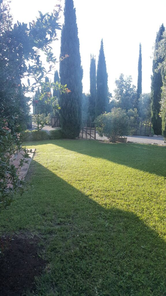 1653-Casale con piscina parco in posizione panoramica-Magliano in Toscana-8 Agenzia Immobiliare ASIP