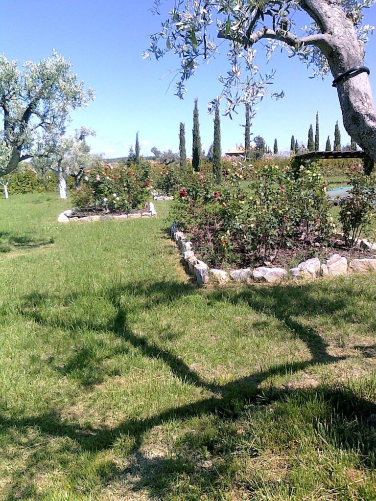 1653-Casale con piscina parco in posizione panoramica-Magliano in Toscana-15 Agenzia Immobiliare ASIP