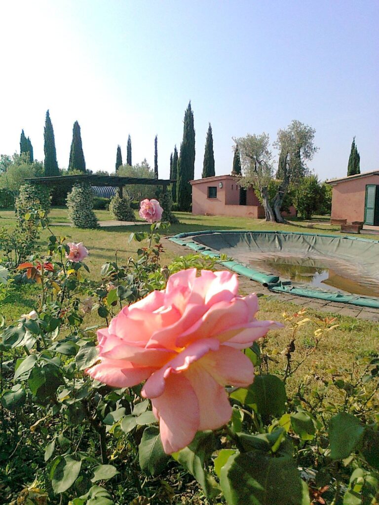 1653-Casale con piscina parco in posizione panoramica-Magliano in Toscana-13 Agenzia Immobiliare ASIP