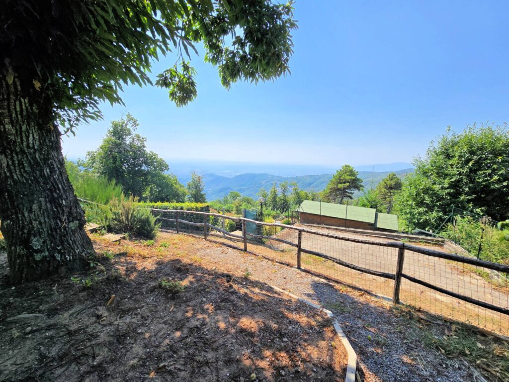 1652-Villetta libera su quattro lati recentemente ristrutturata con ampio giardino piscina e suggestiva vista panoramica-Marliana-15 Agenzia Immobiliare ASIP