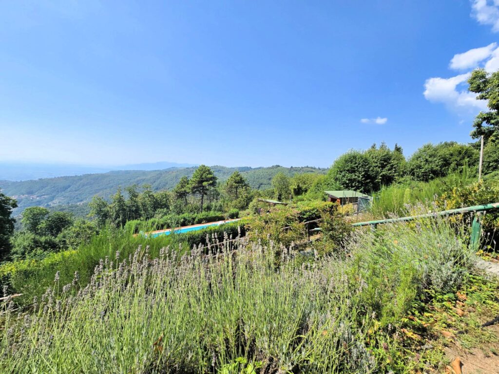 1652-Villetta libera su quattro lati recentemente ristrutturata con ampio giardino piscina e suggestiva vista panoramica-Marliana-13 Agenzia Immobiliare ASIP