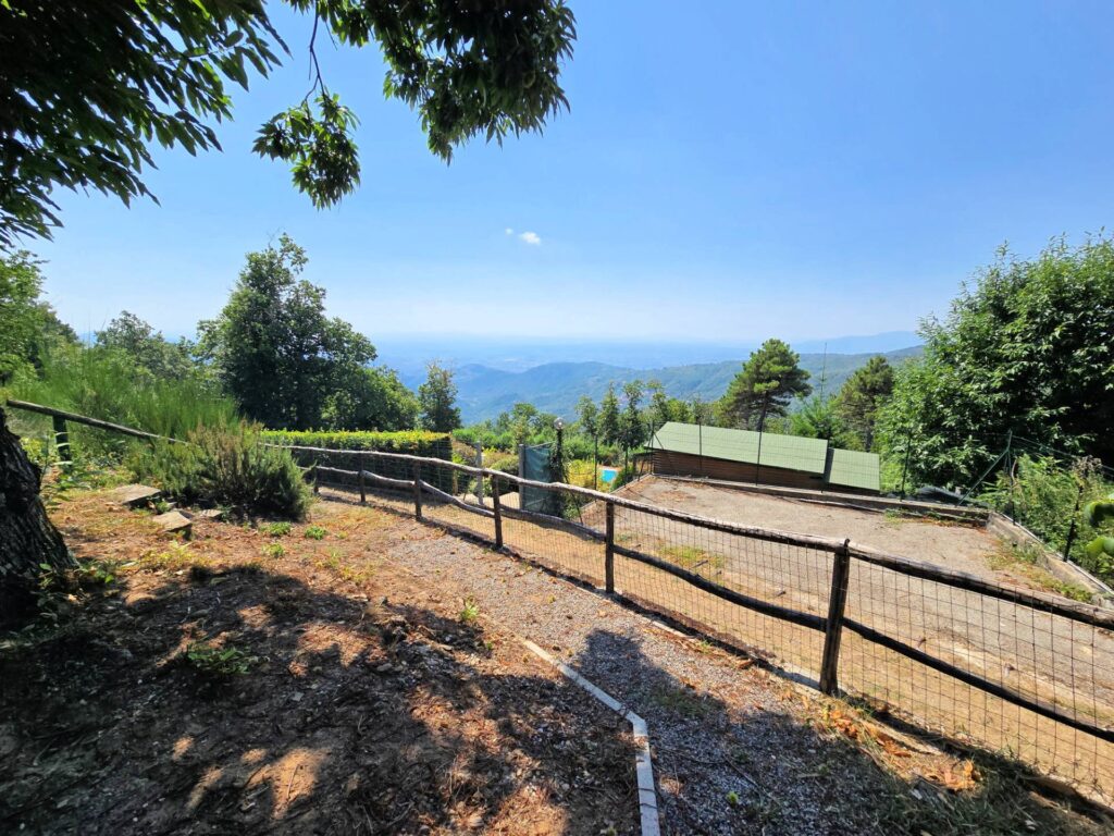 1652-Villetta libera su quattro lati recentemente ristrutturata con ampio giardino piscina e suggestiva vista panoramica-Marliana-22 Agenzia Immobiliare ASIP