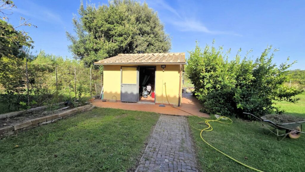 1655-Porzione terratetto di rustico Toscano ristrutturato con giardino-Grosseto-8 Agenzia Immobiliare ASIP