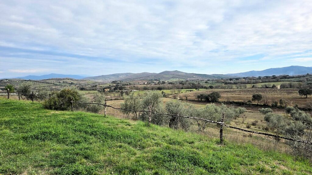 1684-Villetta unifamiliare con ampio giardino e vista panoramica-Gavorrano-7 Agenzia Immobiliare ASIP