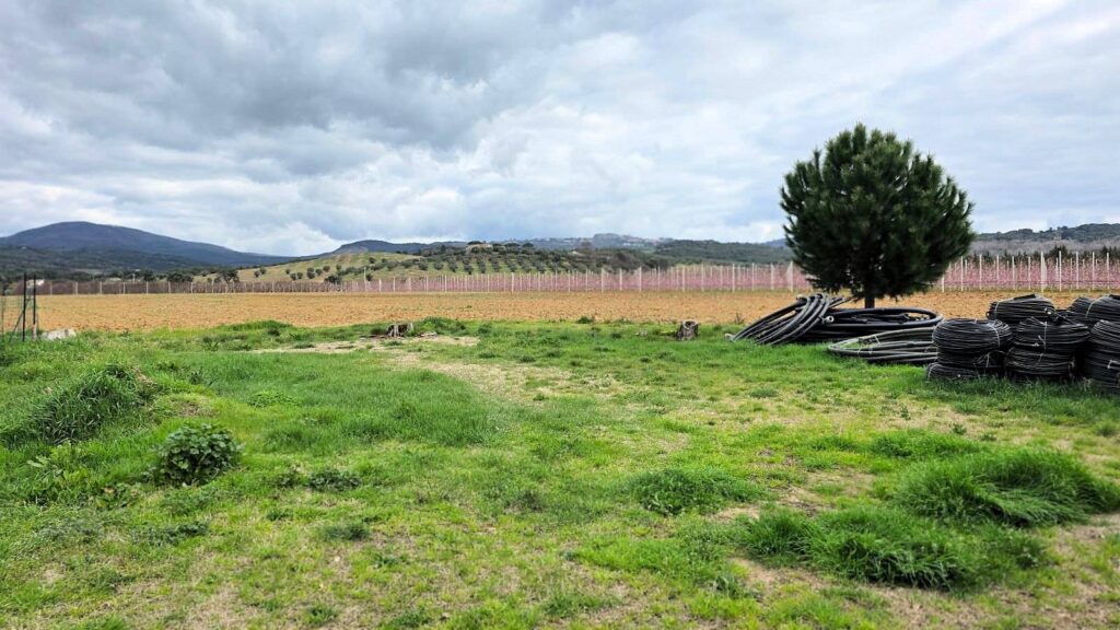 1613-Rustico di ampia superficie da ristrutturare con terreno-Roccastrada-10 Agenzia Immobiliare ASIP