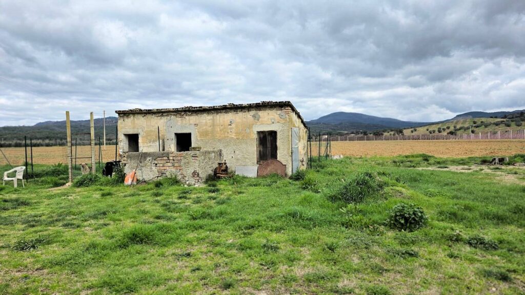 1613-Rustico di ampia superficie da ristrutturare con terreno-Roccastrada-11 Agenzia Immobiliare ASIP